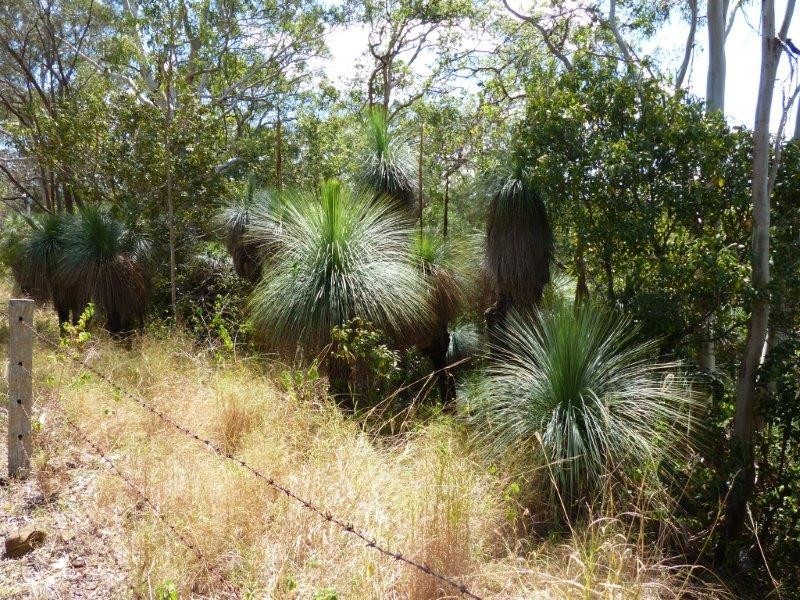 925A Rock Valley Road, Rock Valley NSW 2480