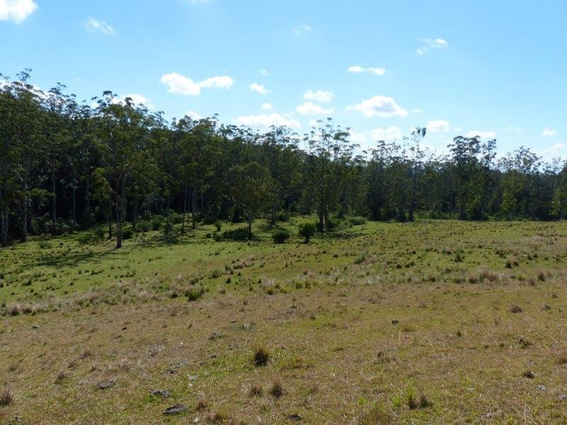 925A Rock Valley Road, Rock Valley NSW 2480