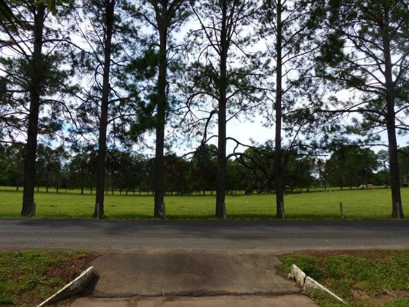 29 Connor Road, Tregeagle NSW 2480