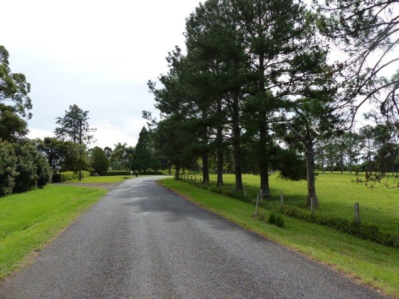 29 Connor Road, Tregeagle NSW 2480