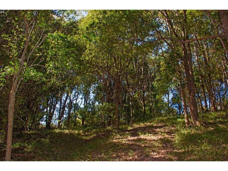 Lot 12 Eden Valley Drive, Alstonville NSW 2477