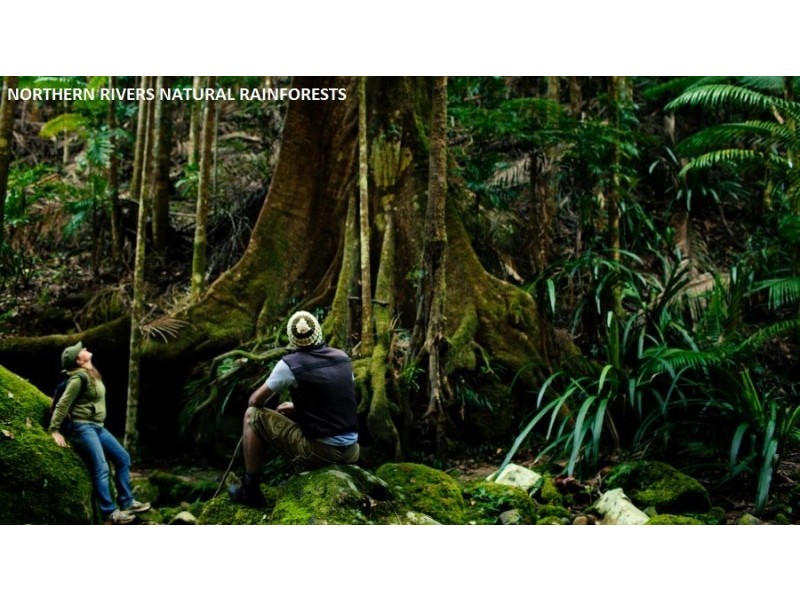 Cameron Park Land Estate, Mcleans Ridges NSW 2480