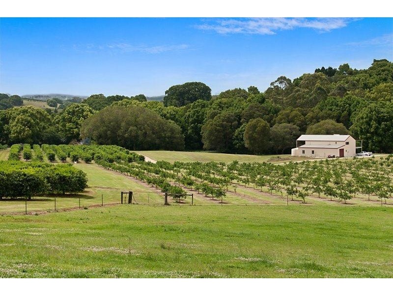 1050 Eltham Road, Pearces Creek NSW 2477