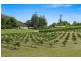 1050 Eltham Rd, Pearces Creek NSW 2477