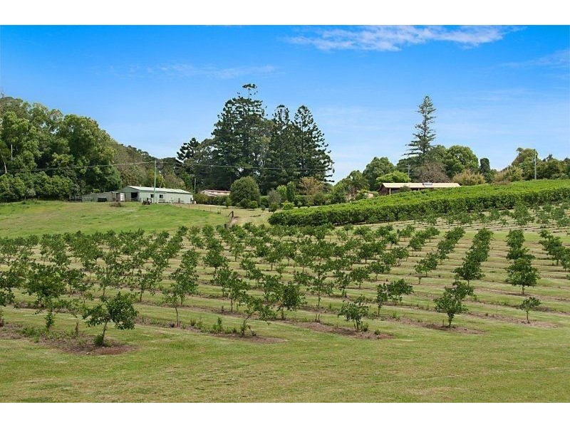1050 Eltham Rd, Pearces Creek NSW 2477