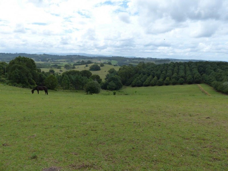 870 Eltham Road, Booyong NSW 2480