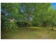 100 Mollys Grass Road, Tregeagle NSW 2480