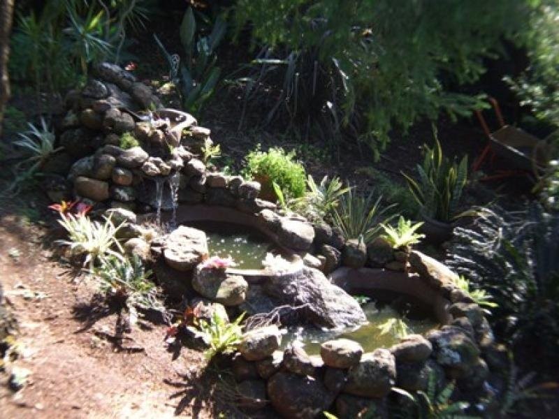 382 Richmond Hill Road, Richmond Hill NSW 2480