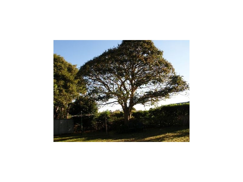 22 Alston Avenue, Alstonville NSW 2477