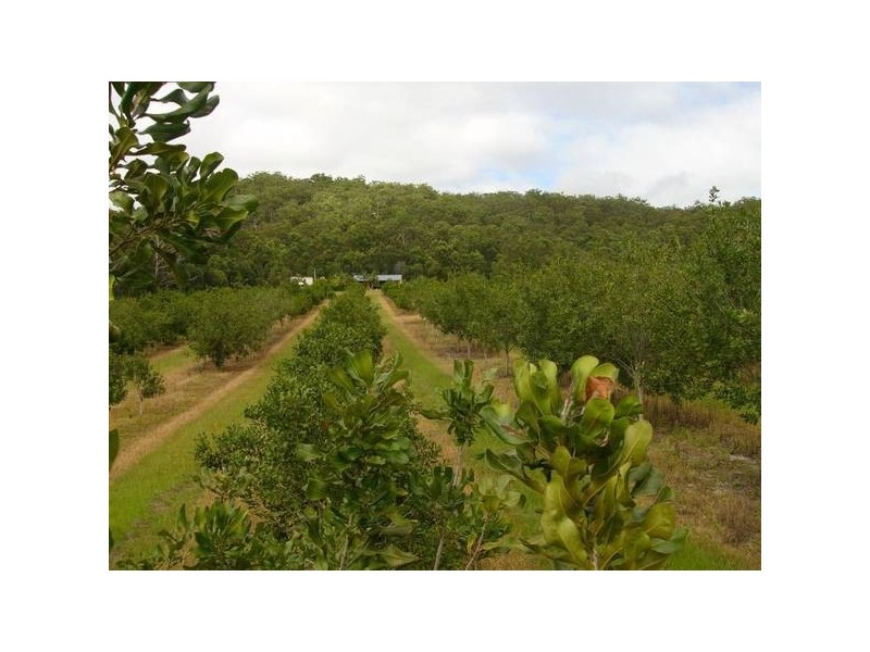 9 Cambridge Park Road, Maclean NSW 2463