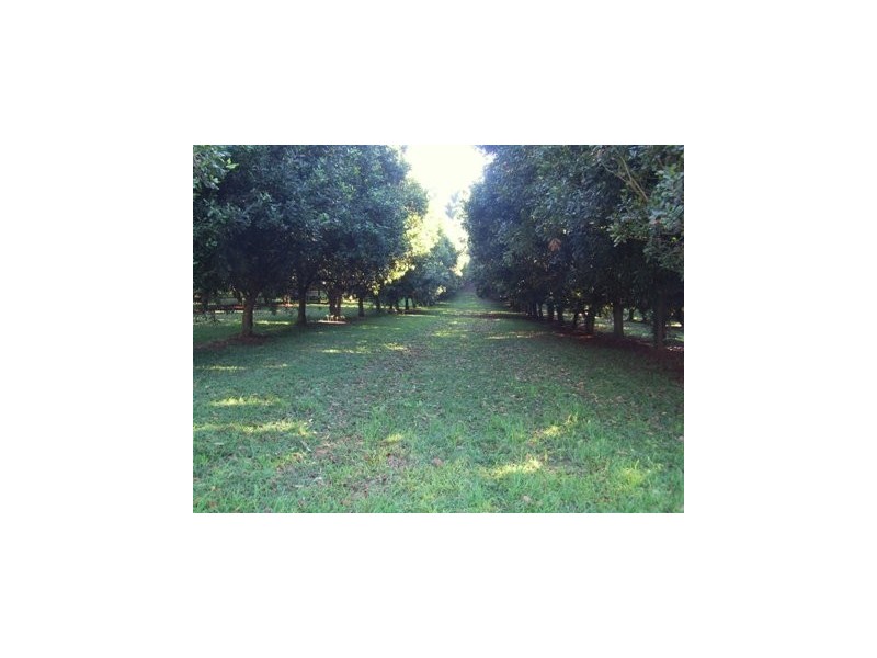 477 Rosebank Road, Rosebank NSW 2480