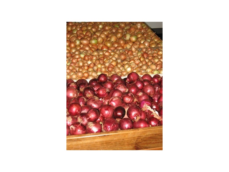 21 Carrington Street, Lismore NSW 2480