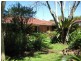 650 Pearces Creek Road, Alstonvale NSW 2477