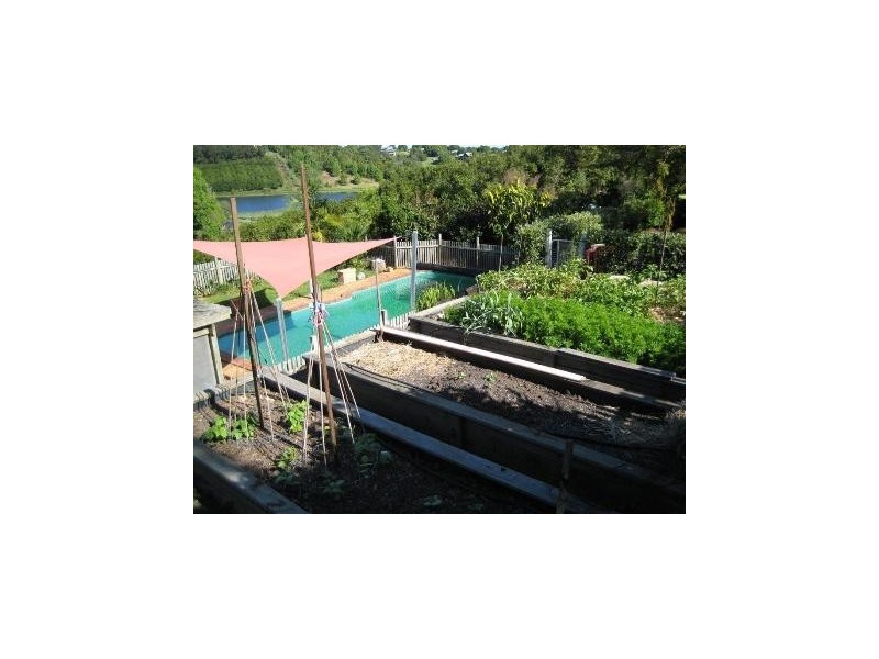 650 Pearces Creek Road, Alstonvale NSW 2477