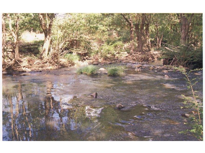 Tyalgum NSW 2484