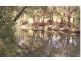 Tyalgum NSW 2484