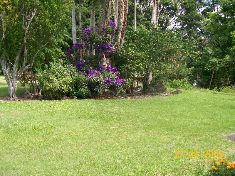 Farrants Hill NSW 2484