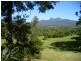 Murwillumbah NSW 2484