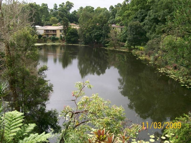 Murwillumbah NSW 2484