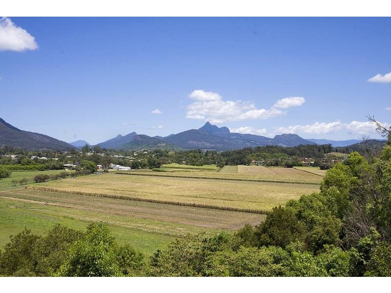 Murwillumbah NSW 2484