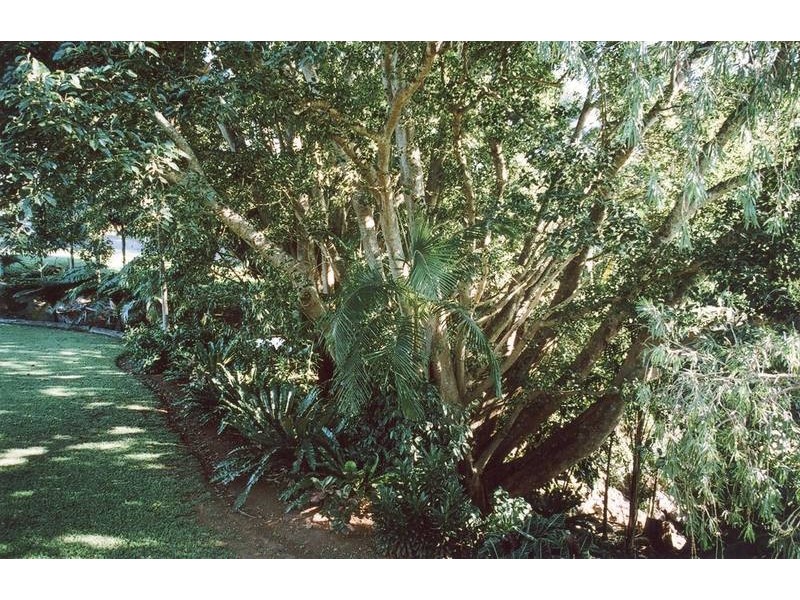 Murwillumbah NSW 2484