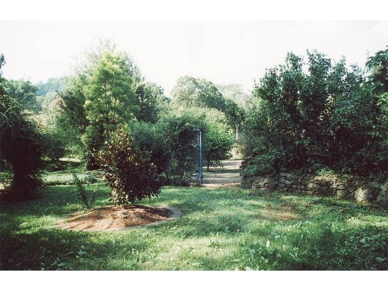 Chillingham NSW 2484