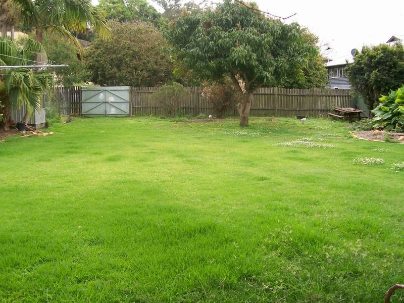 Murwillumbah NSW 2484