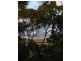 Nunderi NSW 2484