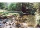 Tyalgum NSW 2484