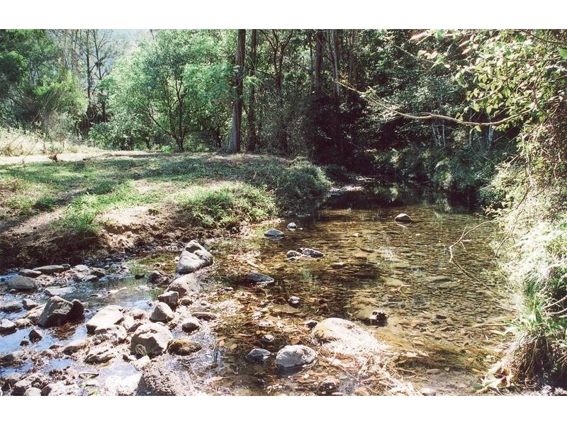 Tyalgum NSW 2484