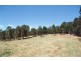 Tyalgum NSW 2484