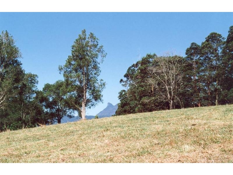 Tyalgum NSW 2484