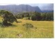 Tyalgum NSW 2484