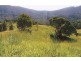 Tyalgum NSW 2484