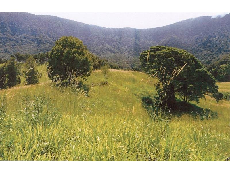 Tyalgum NSW 2484