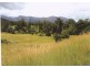 Tyalgum NSW 2484