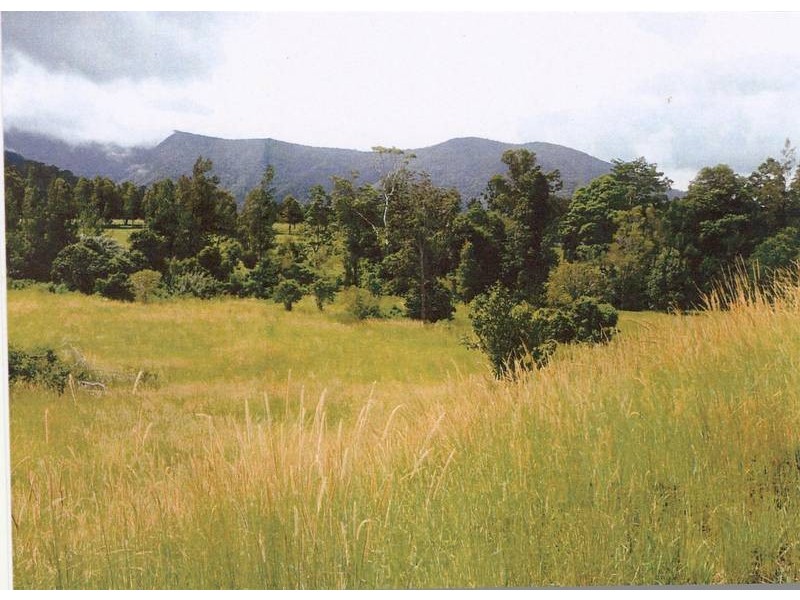 Tyalgum NSW 2484
