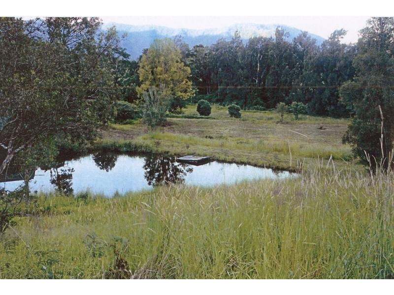 Tyalgum NSW 2484