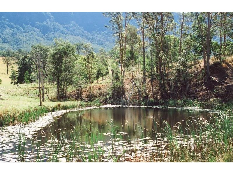 Tyalgum NSW 2484