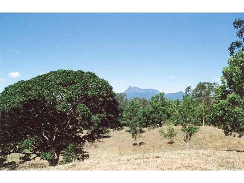 Tyalgum NSW 2484