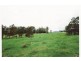Doon Doon NSW 2484