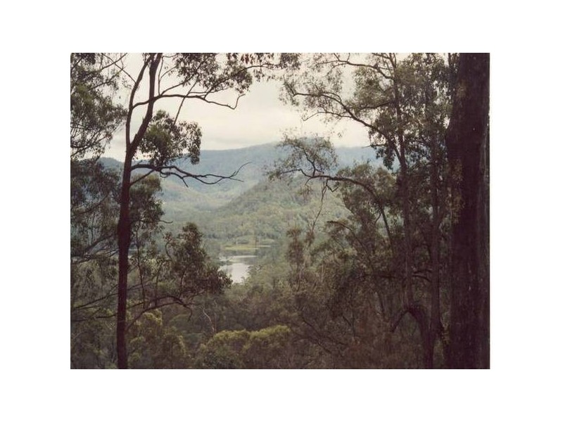 Commissioners Creek NSW 2484