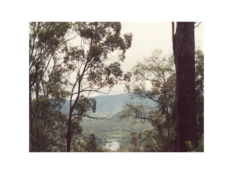 Commissioners Creek NSW 2484