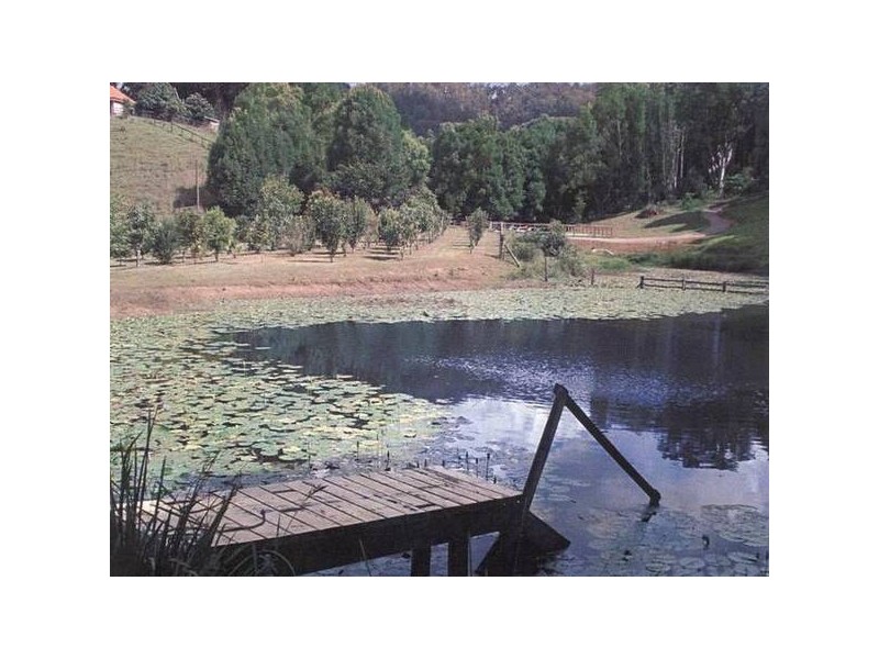 Stokers Siding NSW 2484