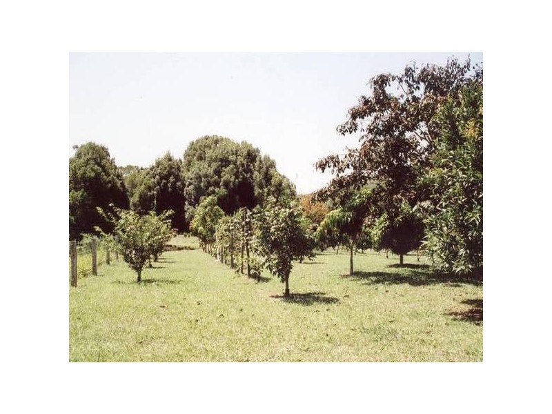 Stokers Siding NSW 2484