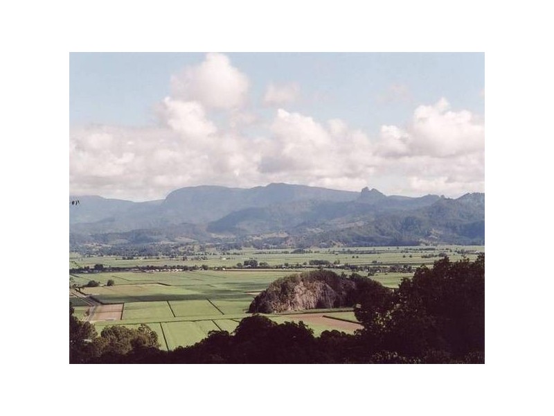 Farrants Hill NSW 2484