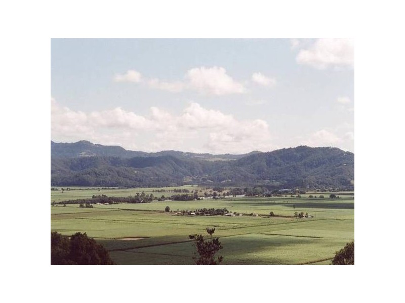 Farrants Hill NSW 2484