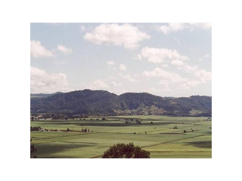Farrants Hill NSW 2484