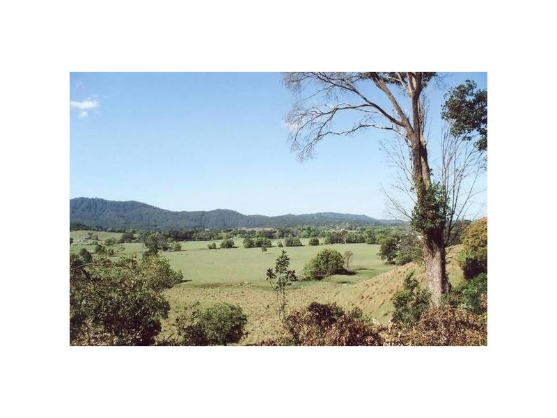 Murwillumbah NSW 2484
