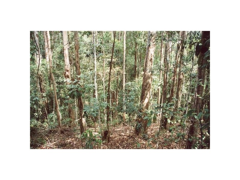 Uki NSW 2484
